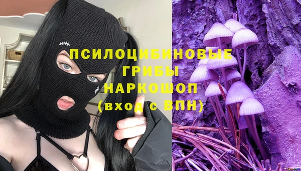 PSILOCYBIN Вяземский